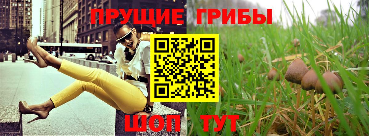 Галлюциногенные грибы Psilocybe  Вход с VPN  Галлюциногенные грибы ЛСД  купить наркотик  Орёл 